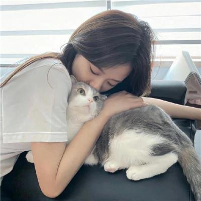 大猫竞技