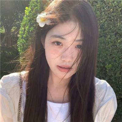 秩序的守护者